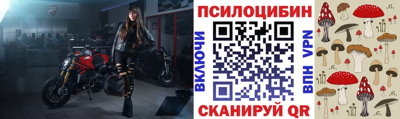 закладка omg ссылка Псилоцибиновые грибы мицелий Лермонтов