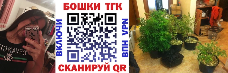 Бошки Шишки MAZAR Лермонтов